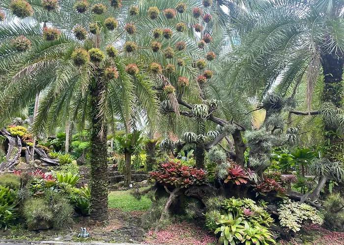 Coco Palm Beach Resort & Spa