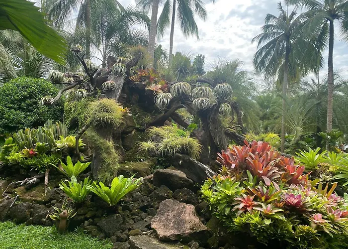Coco Palm Beach Resort & Spa
