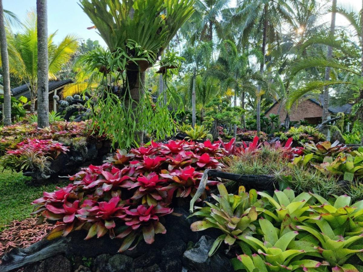 Coco Palm & Resort