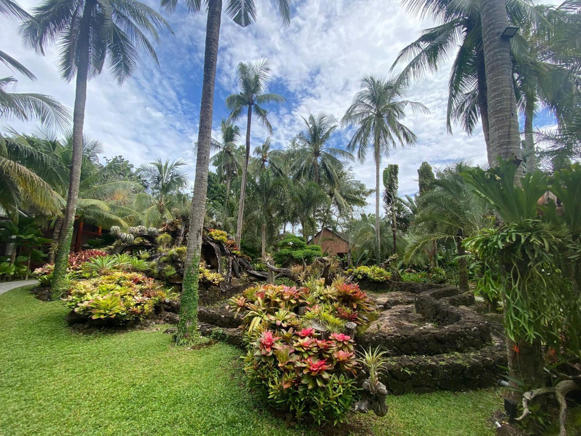 Resort Coco Palm & 3*