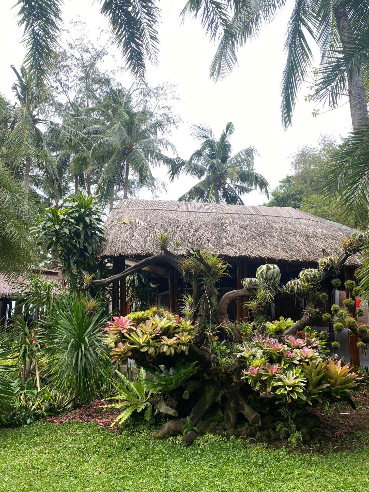Resort Coco Palm & Phú Quốc