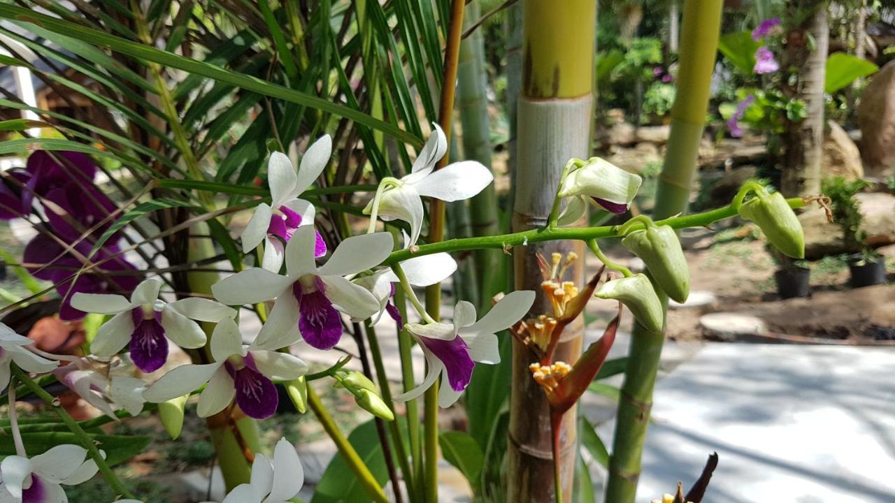 Coco Palm Phú Quốc